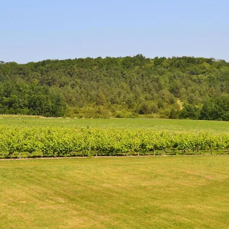 Semesterbostad Spacieux Avec Jardin, Piscine, Cheminee, Et Equipements Bebe Au Coeur Des Vignes Du Cognac - Fr-1-653-59 *