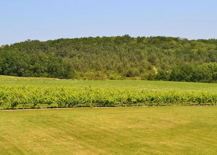 Feriehus Spacieux Avec Jardin, Piscine, Cheminee, Et Equipements Bebe Au Coeur Des Vignes Du Cognac - Fr-1-653-59 *